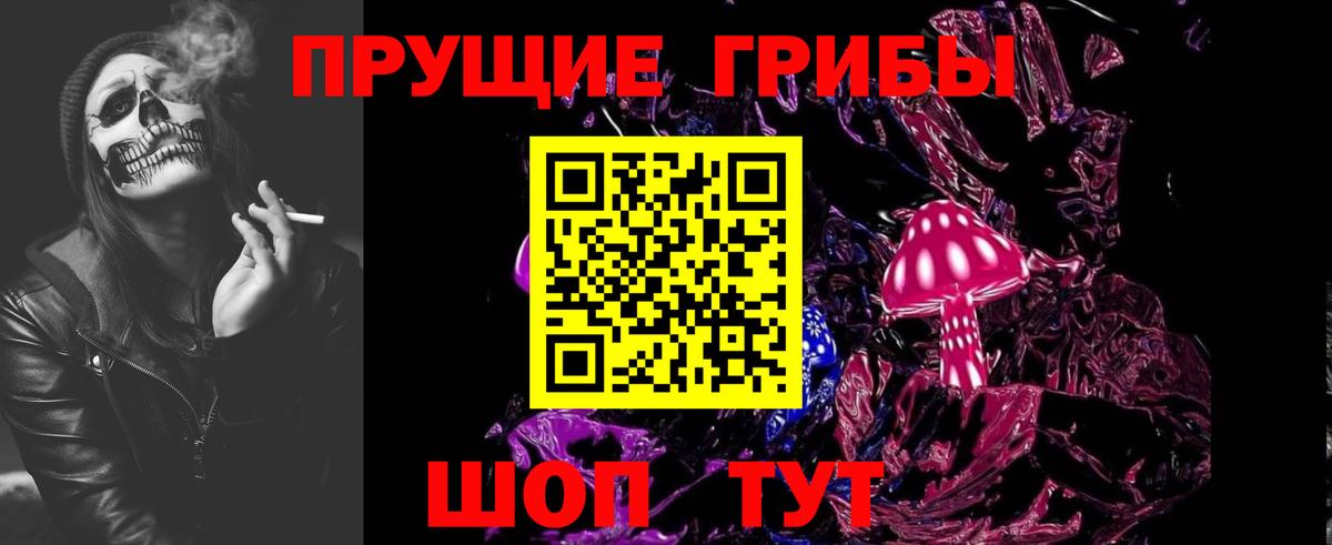 Зерноград  Псилоцибиновые грибы Psilocybine cubensis  Вход с VPN 