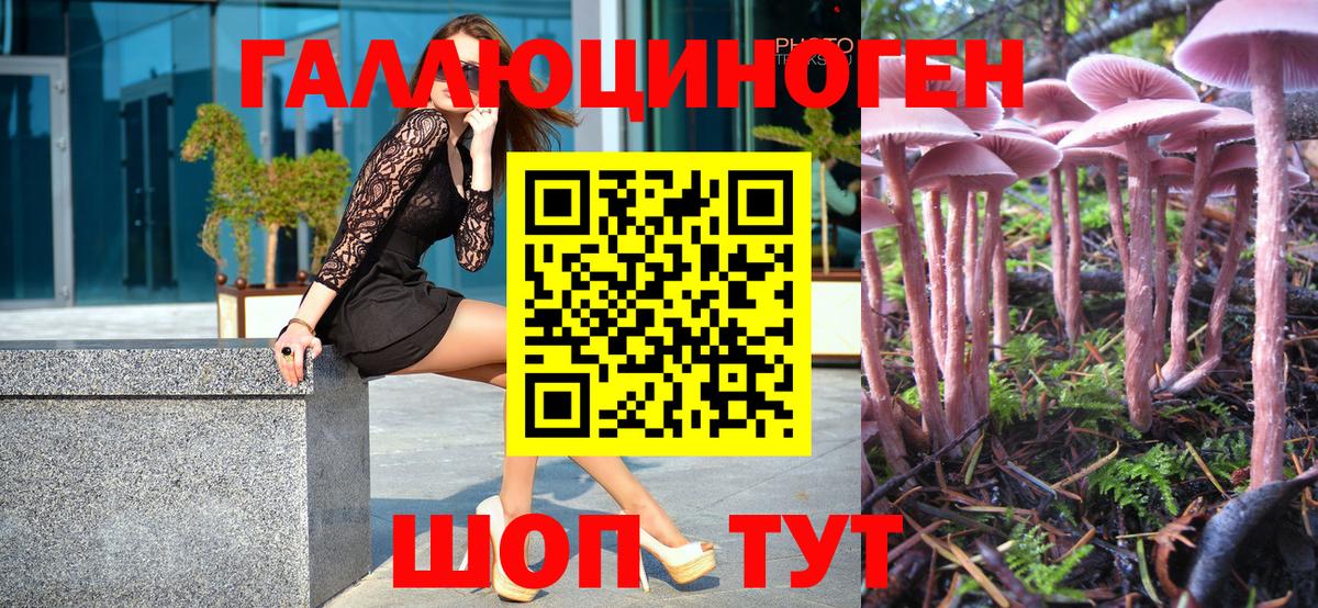 Галлюциногенные грибы GOLDEN TEACHER Зерноград
