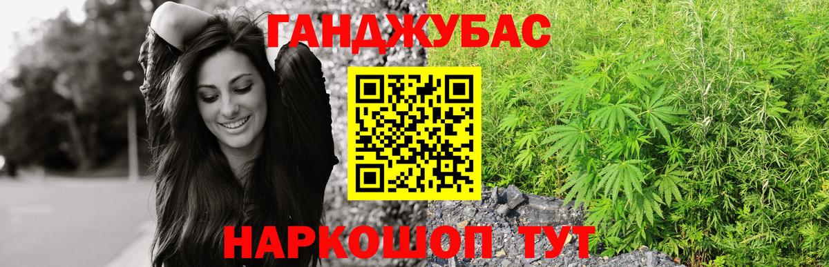 Конопля гибрид Зерноград